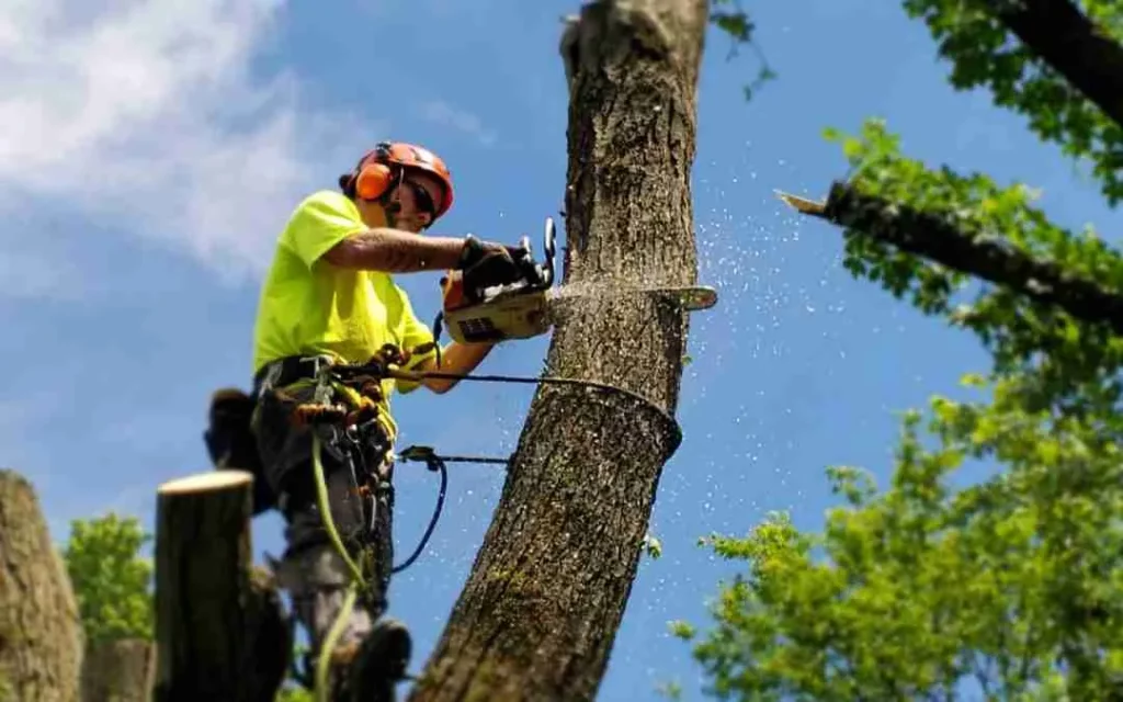 Tree Remover
